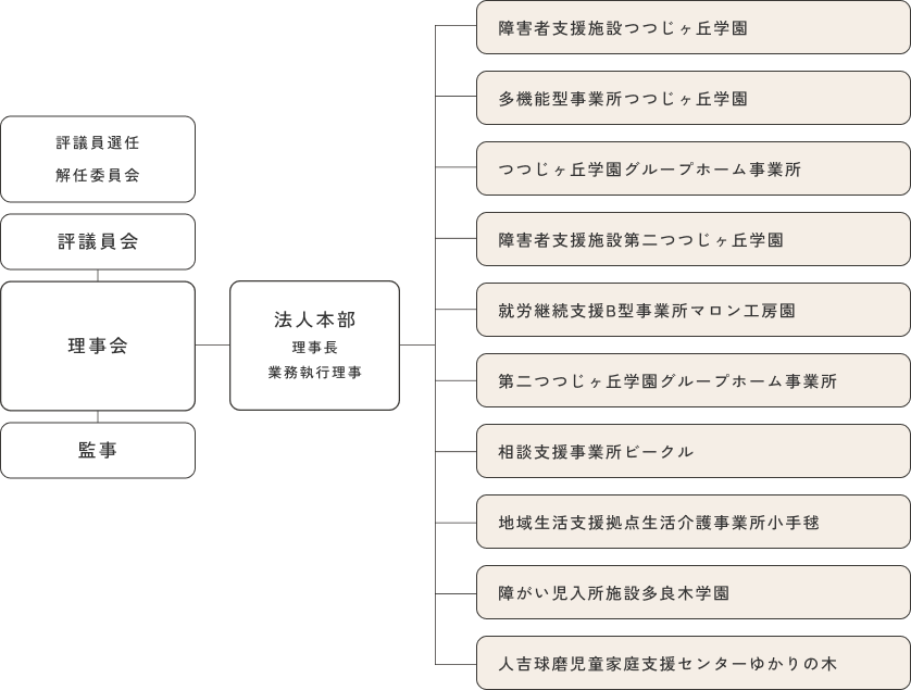 上：評議員選任 解任委員会、評議員会、理事会、監事 中：法人本部理事長業務執行理事、下：障害者支援施設つつじヶ丘学園、多機能型事業所つつじヶ丘学園、つつじヶ丘学園グループホーム事業所、障害者支援施設第二つつじヶ丘学園、就労継続支援B型事業所マロン工房園、第二つつじヶ丘学園グループホーム事業所、相談支援事業所ビークル、地域生活支援拠点生活介護事業所小手毬、障がい児入所施設多良木学園、人吉球磨児童家庭支援センターゆかりの木