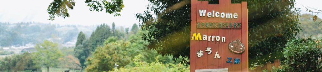 就労継続支援B型事業所のイメージ写真