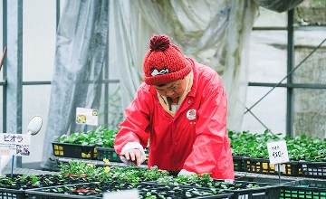 提供サービスのイメージ写真