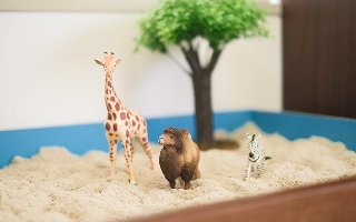 ゆかりの木のイメージ写真1