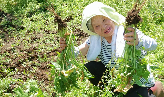 つつじヶ丘学園のギャラリー画像3