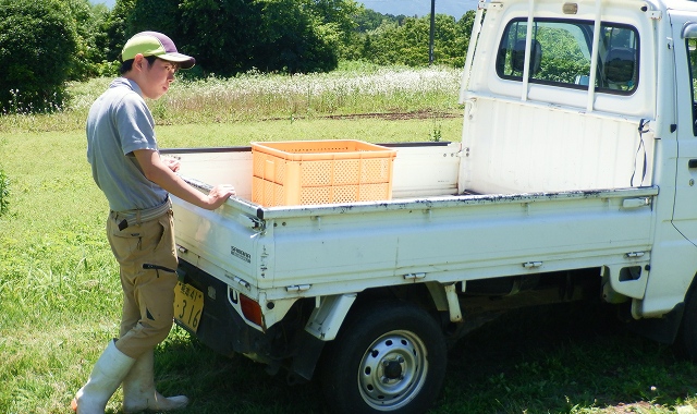 つつじヶ丘学園のギャラリー画像5