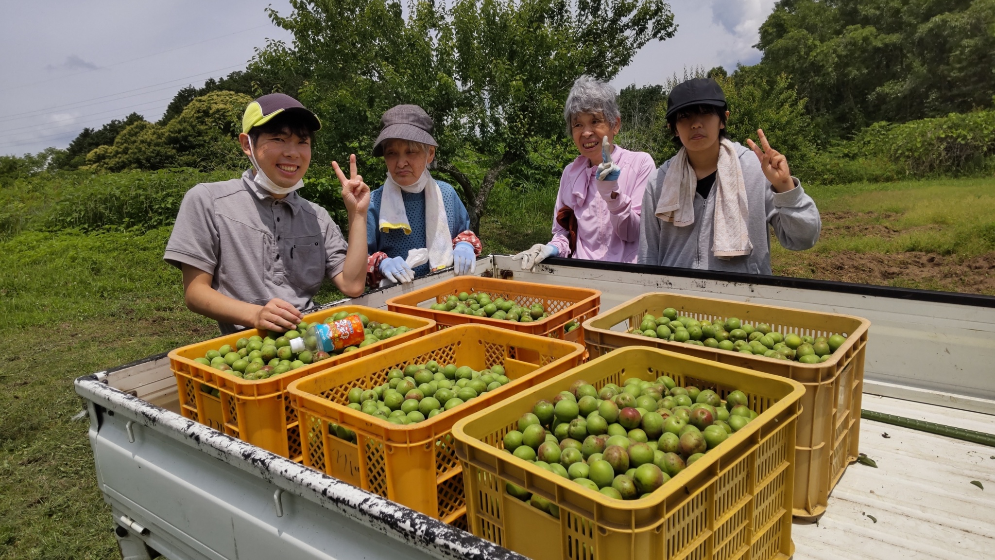 コラム：サムネイル画像