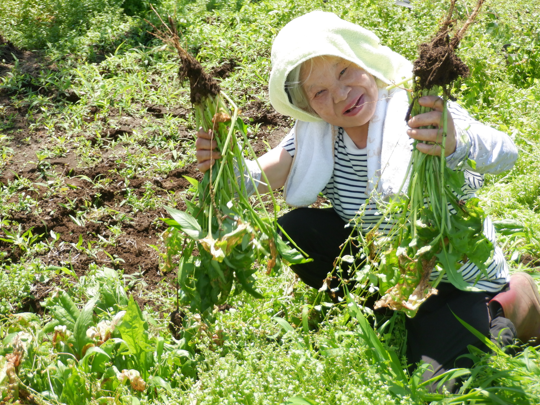 コラム：サムネイル画像
