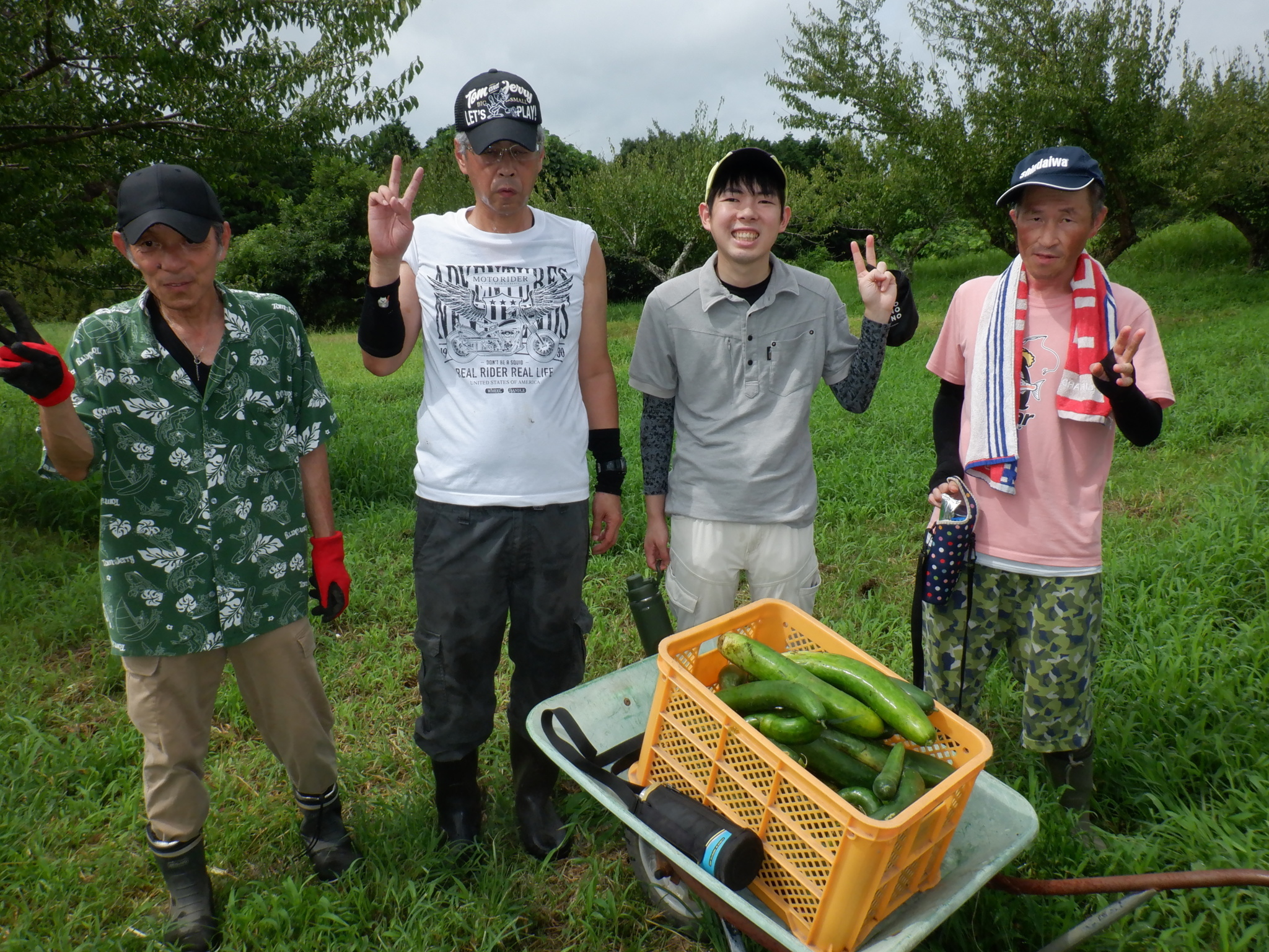 コラム：サムネイル画像