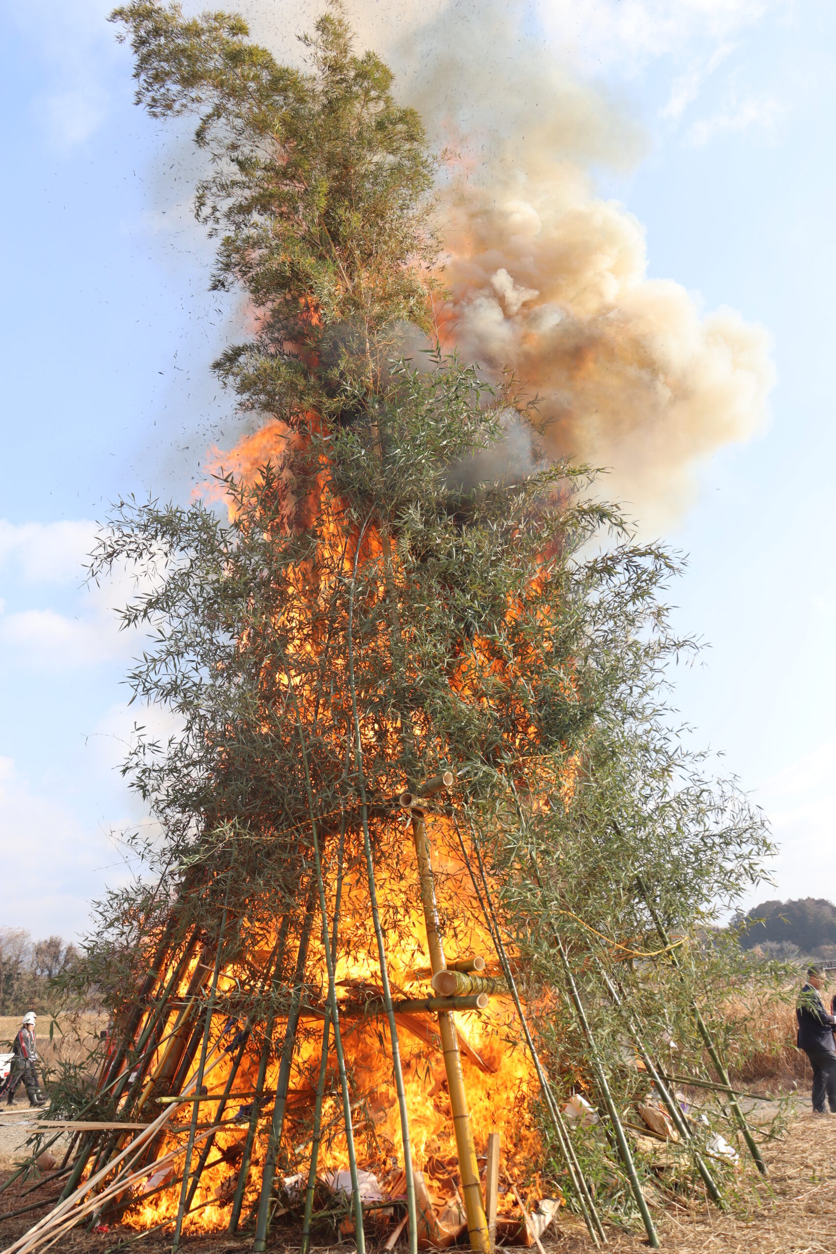 コラム：サムネイル画像