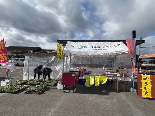 コラム：サムネイル画像